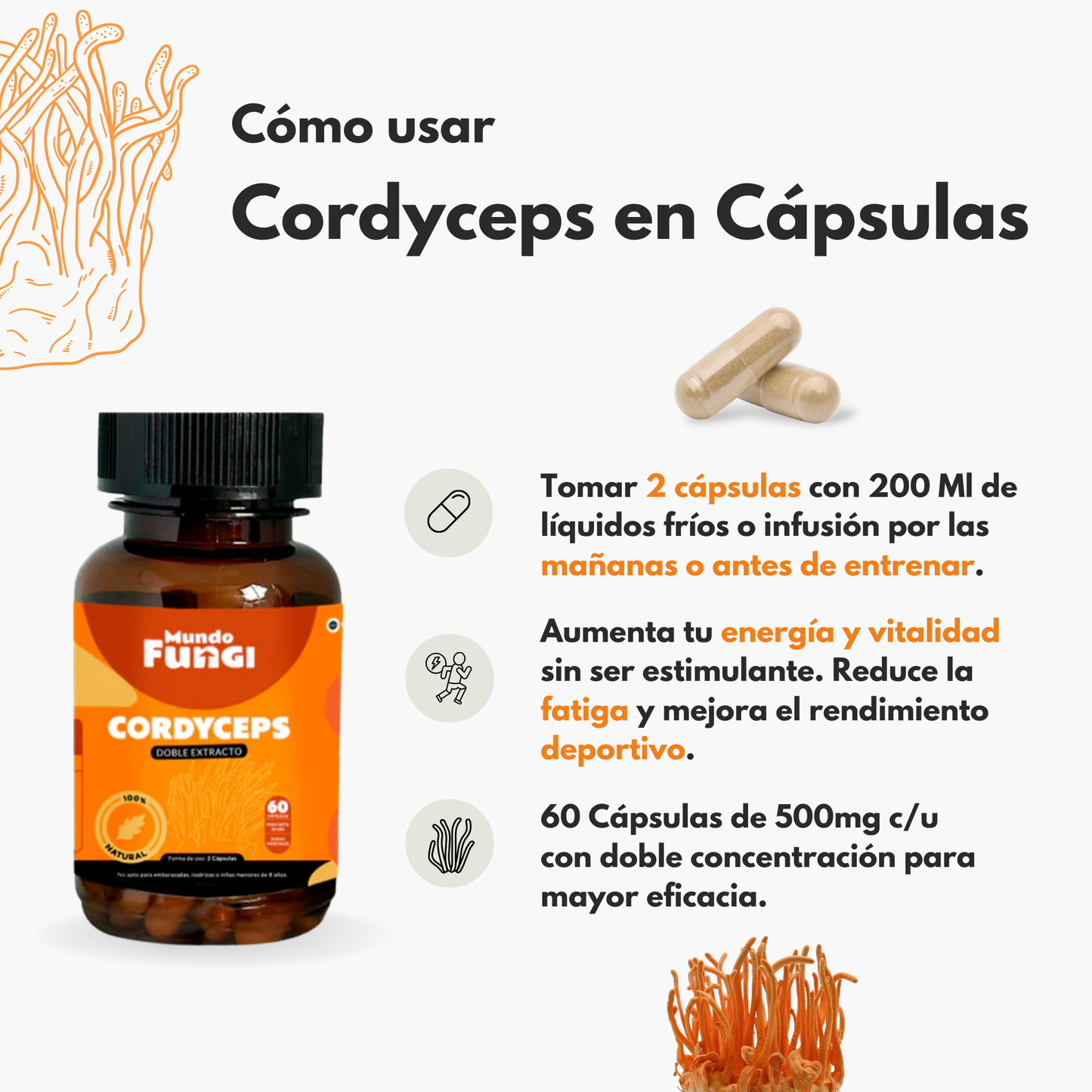 Cordyceps 500mg - Vitalidad