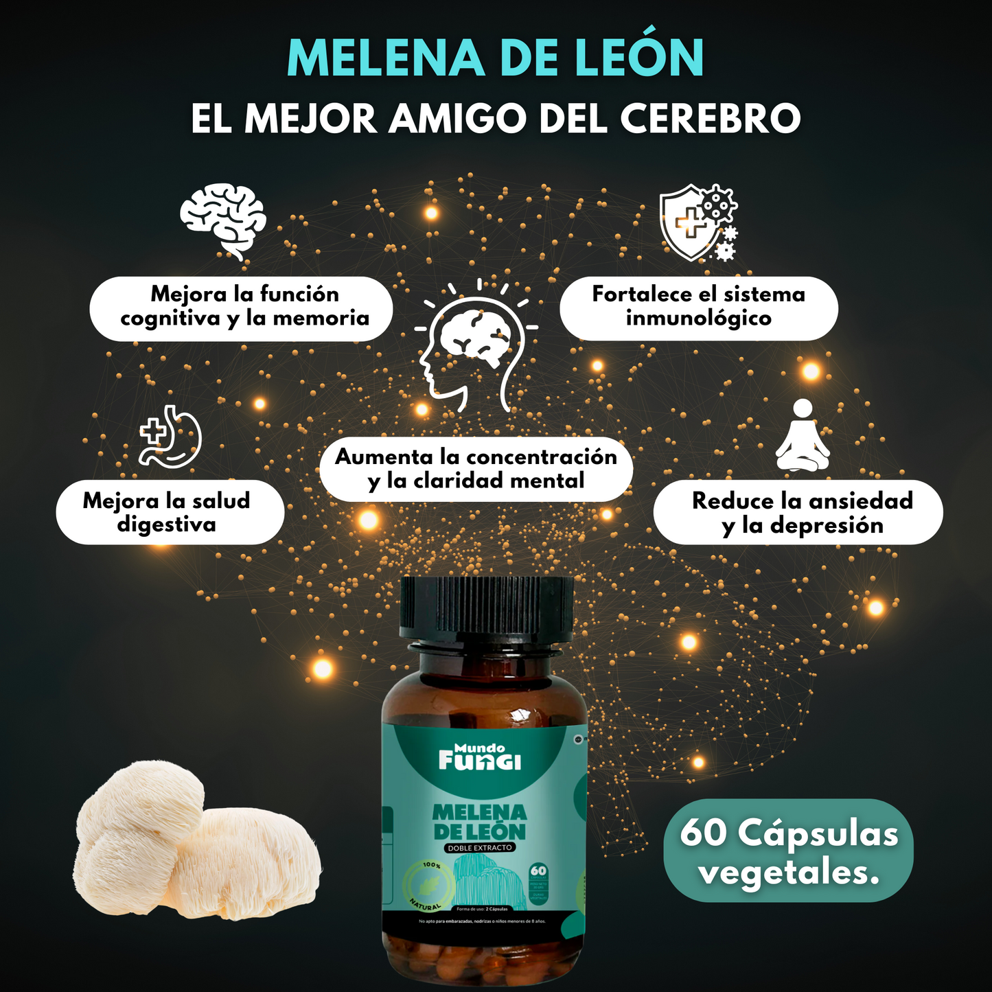 Melena de León 500mg - Claridad Mental