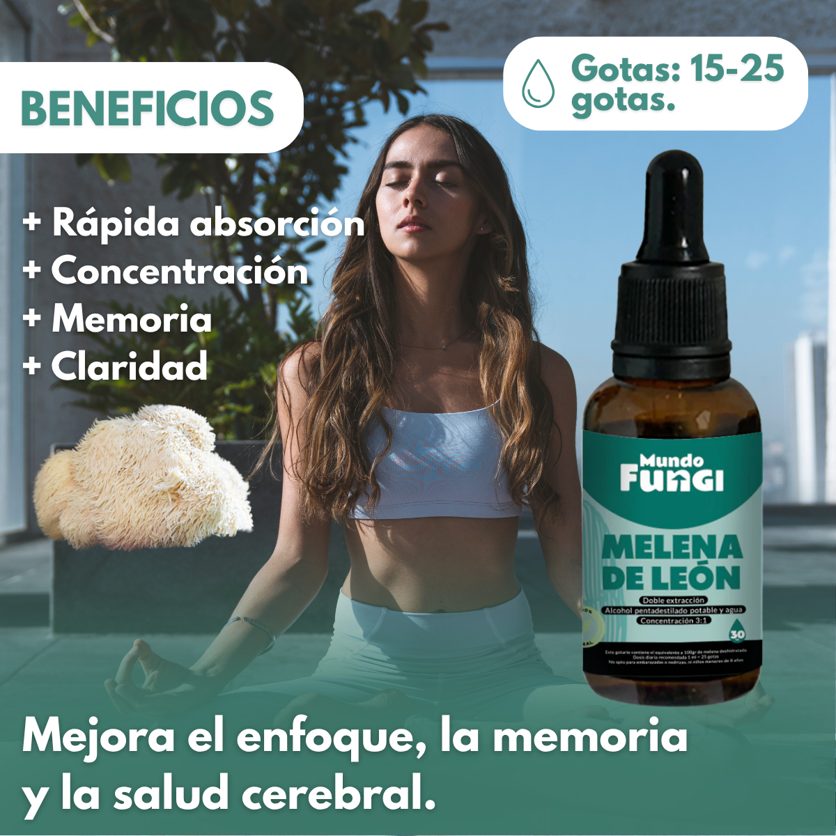 Extracto Melena de león 30 Ml