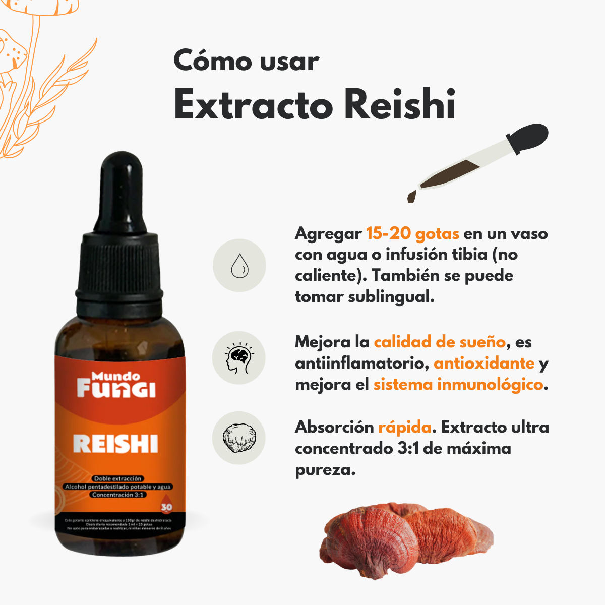 Extracto Reishi 30 Ml