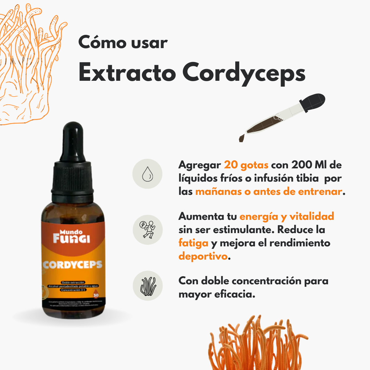 Extracto Cordyceps 30 Ml