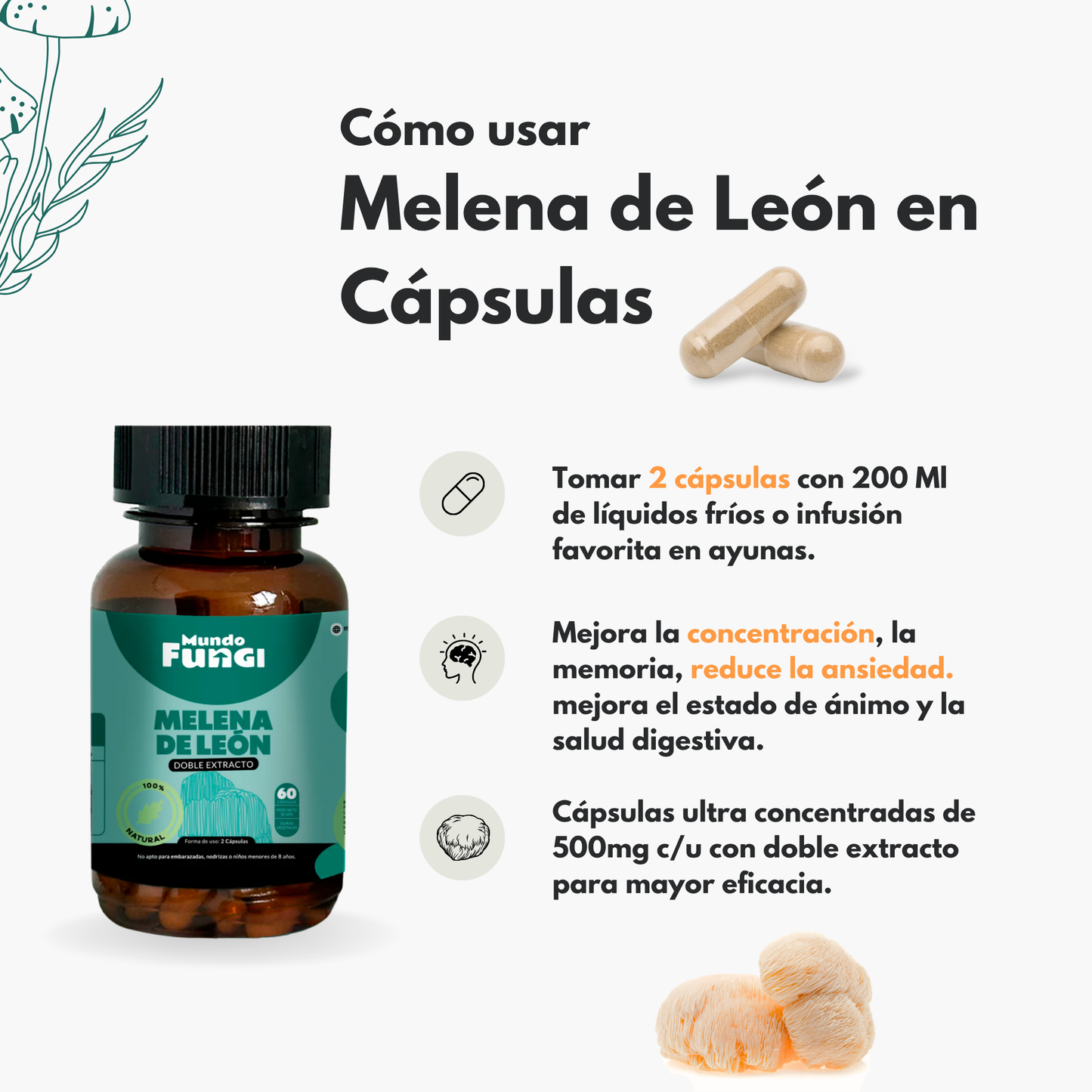 Melena de León 500mg - Claridad Mental