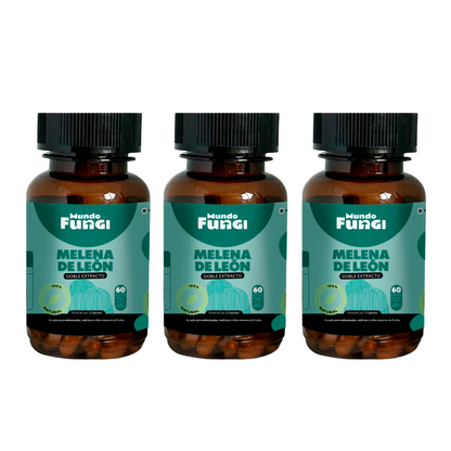 Melena de León 500mg - Claridad Mental
