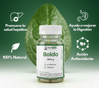 Boldo 500mg 60 Cápsulas Vegetales
