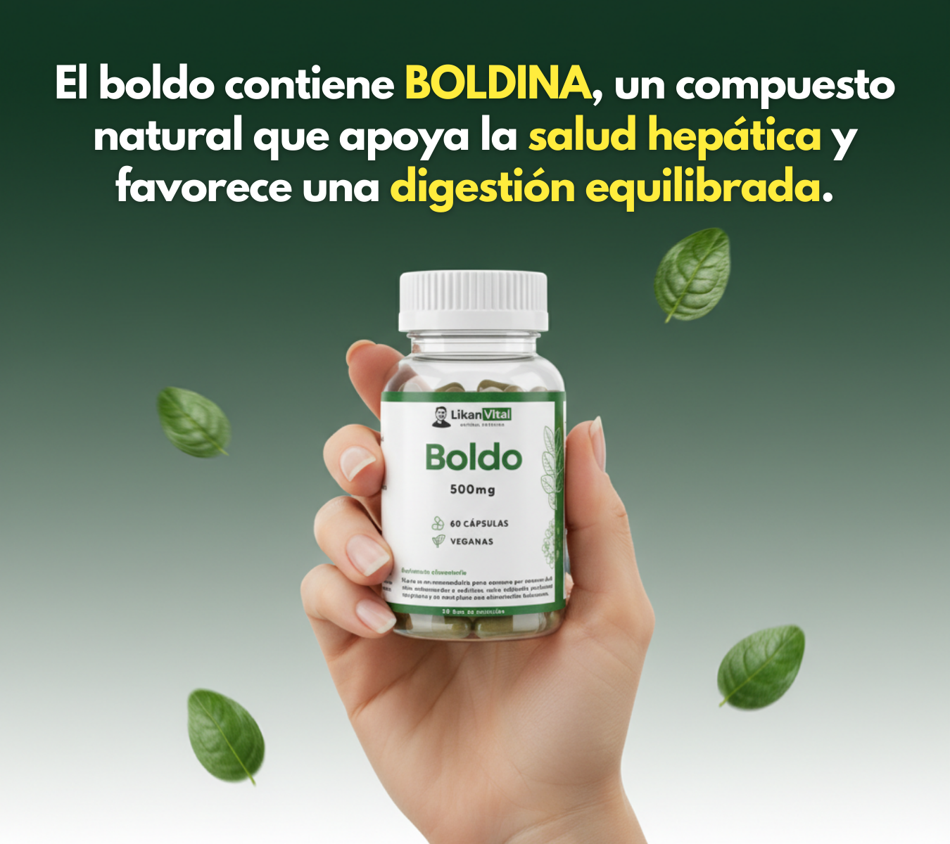 Boldo 500mg 60 Cápsulas Vegetales