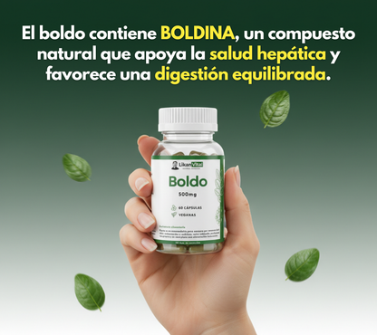 Boldo 500mg 60 Cápsulas Vegetales