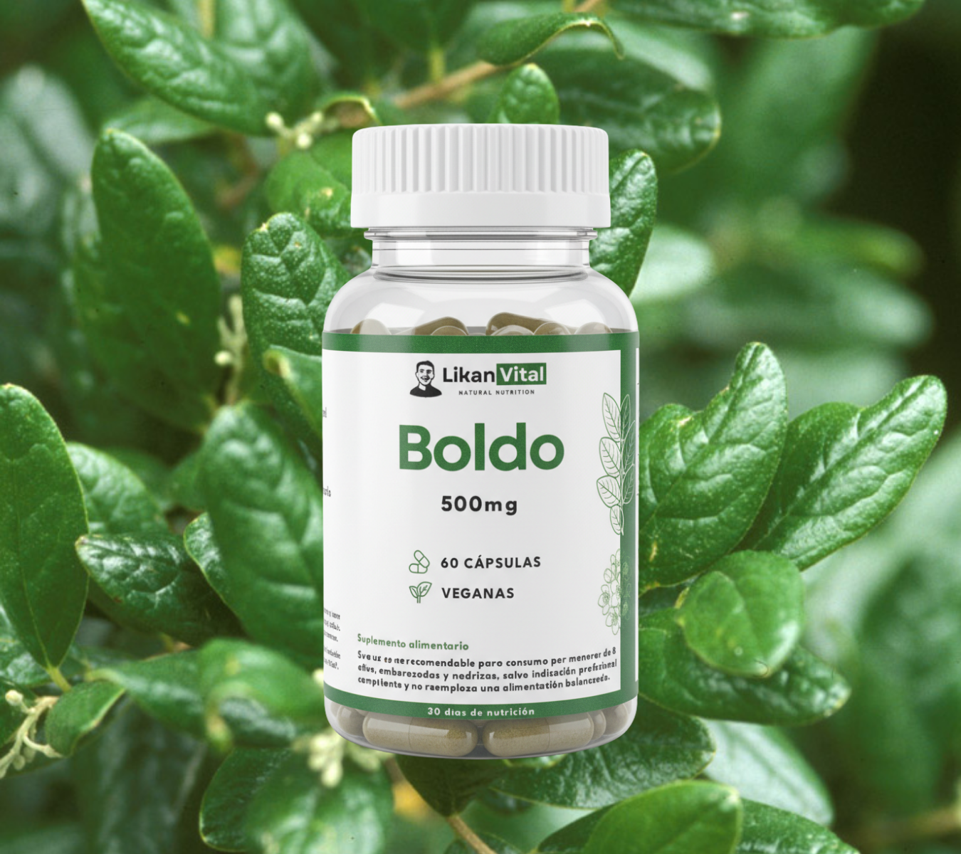 Boldo 500mg 60 Cápsulas Vegetales