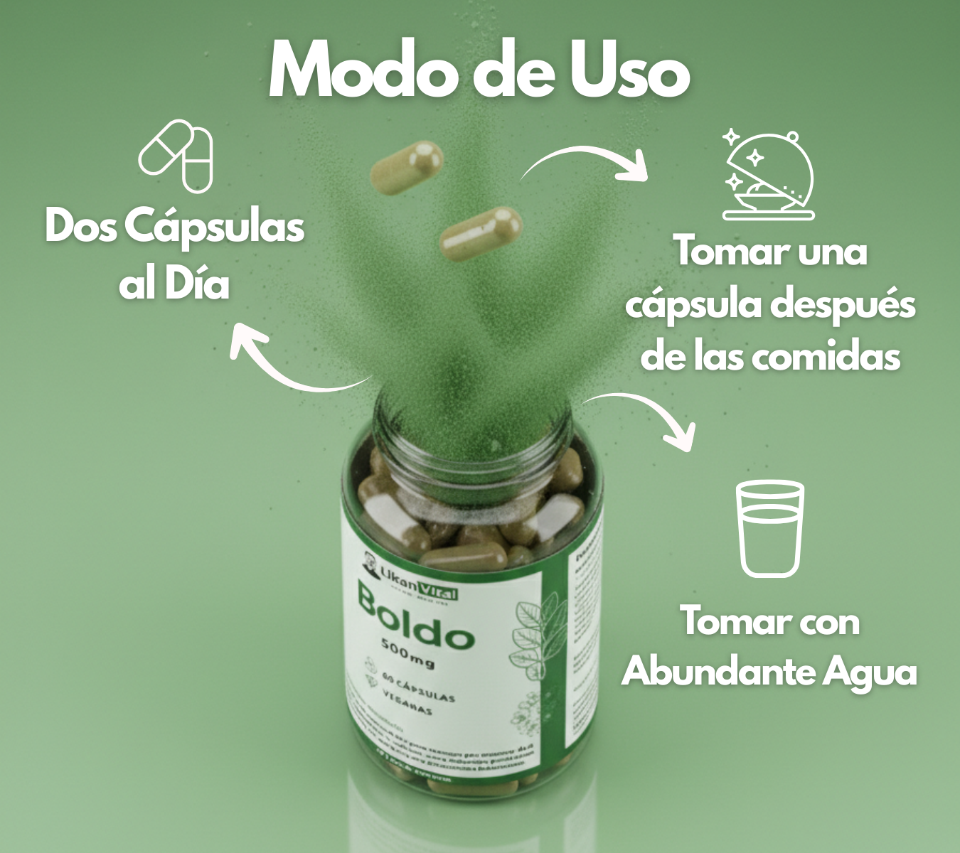 Boldo 500mg 60 Cápsulas Vegetales