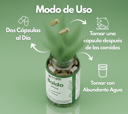 Boldo 500mg 60 Cápsulas Vegetales