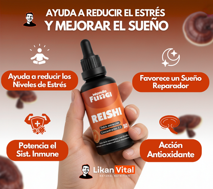 Pack Triple Magnesio + Reishi en Gotas 50ml