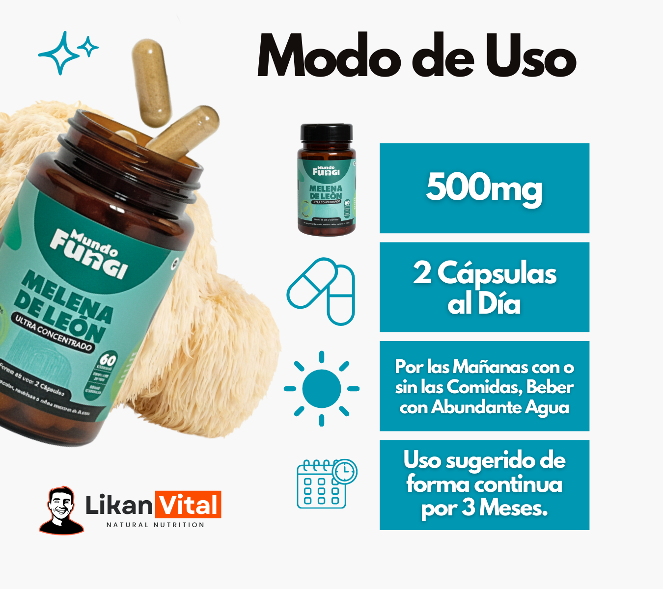 Melena de León 500mg - Claridad Mental