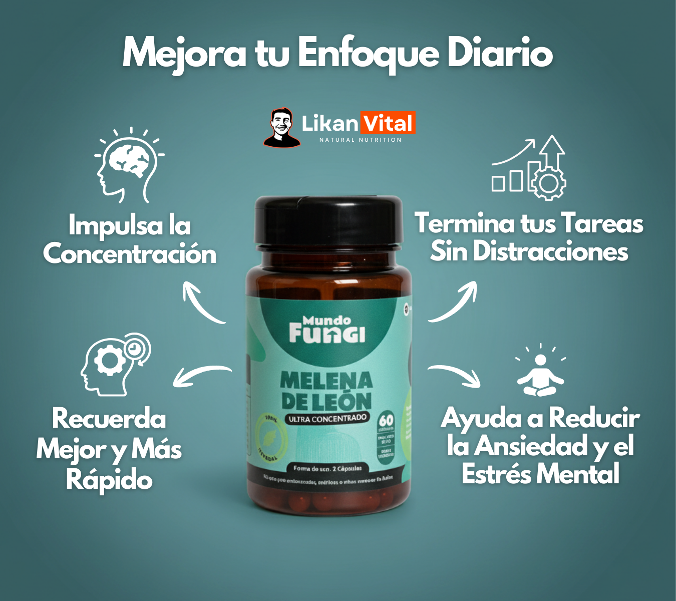 Melena de León 500mg - Claridad Mental