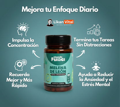 Melena de León 500mg - Claridad Mental