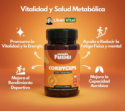 Cordyceps 500mg - Vitalidad