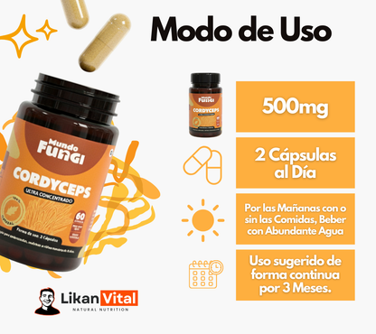 Cordyceps 500mg - Vitalidad