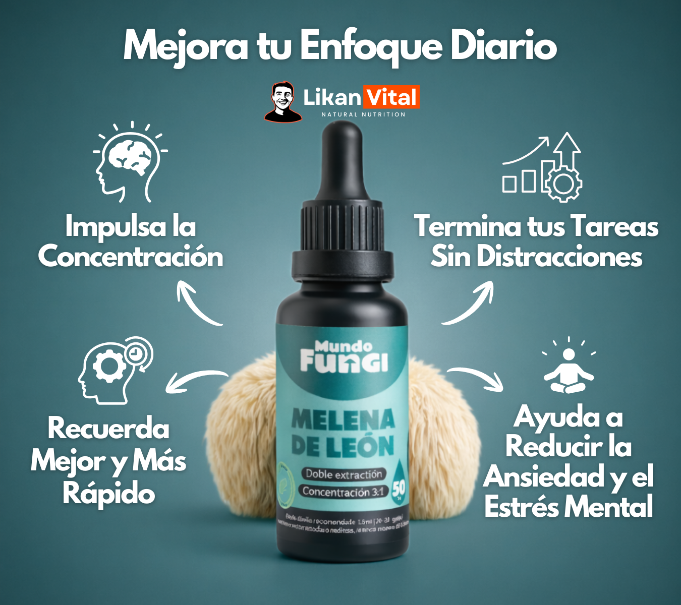 Extracto Melena de león 50 Ml