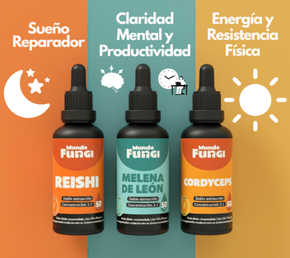 Tripack Cerebro Vital | Melena de león, Cordyceps y Reishi