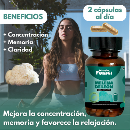 Melena de León 500mg - Claridad Mental