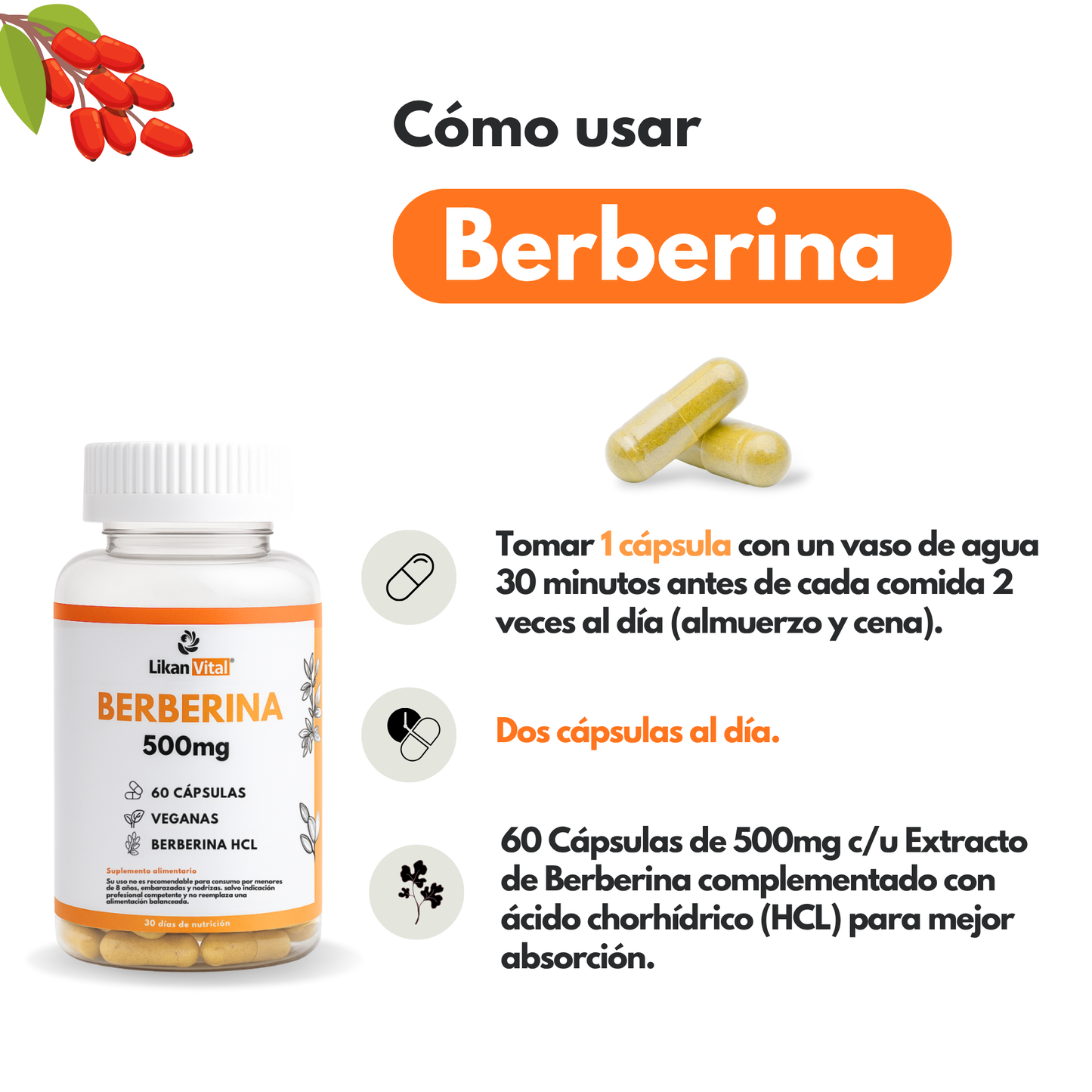 Berberina 500mg - Control Glucosa