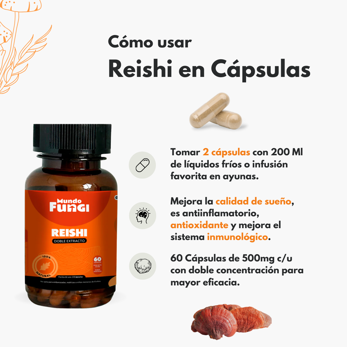 Reishi 500mg - Inmunidad