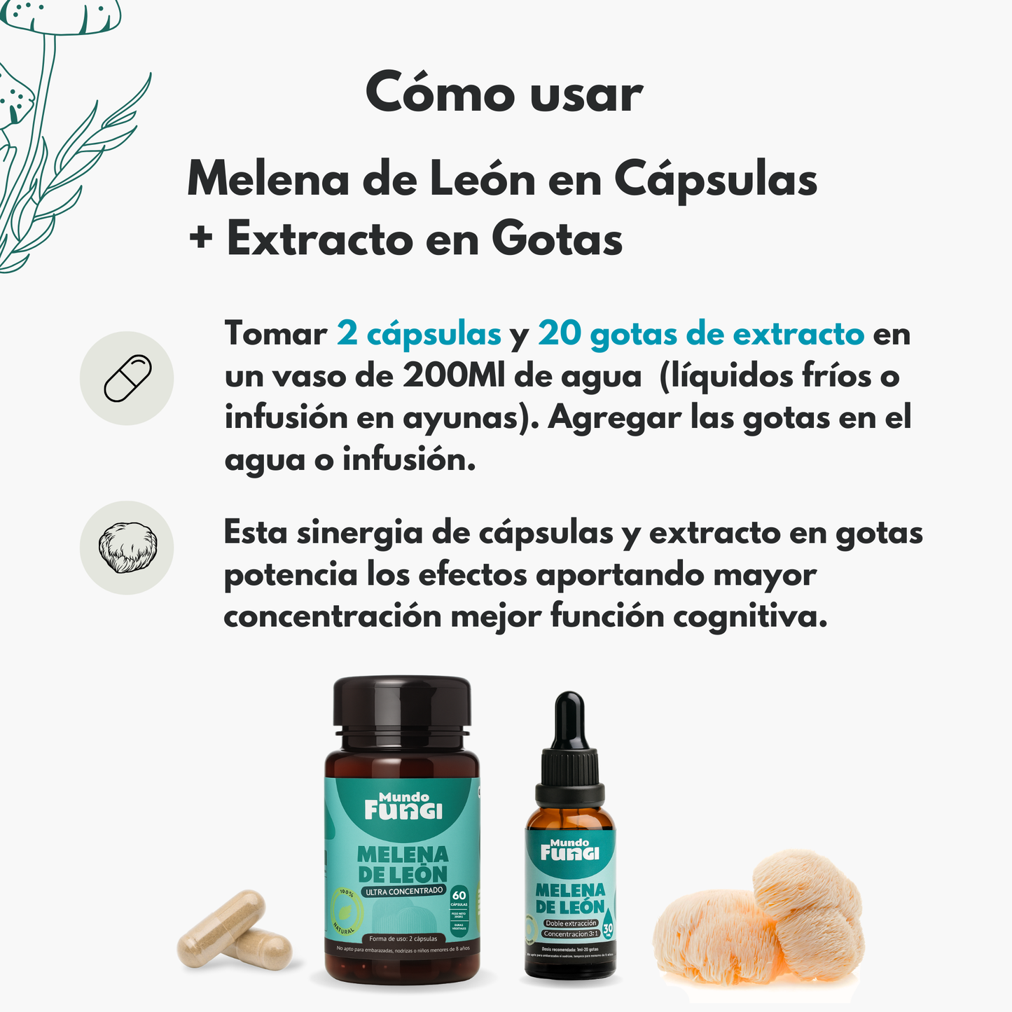 Pack Melena de León - Cápsulas y Gotas
