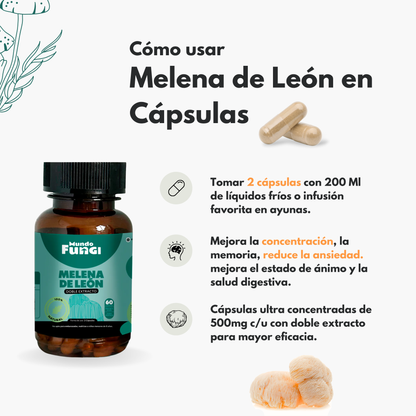 Melena de León 500mg - Claridad Mental